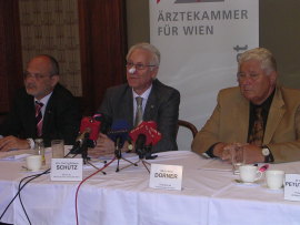 050808wieneraerztekammer.jpg