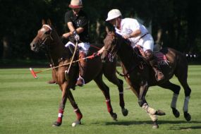 090909polo.jpg