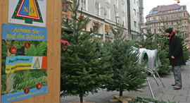 christbaumklein3.jpg